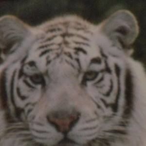 Meet your Posher, Gabby